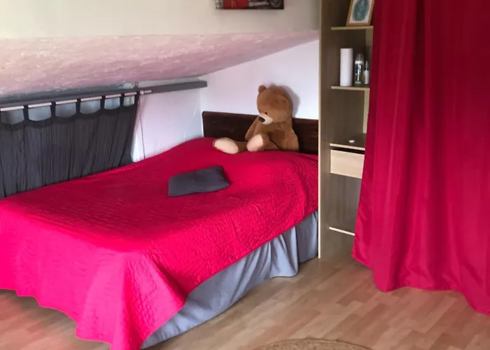 Appartement Maison Du Bonheur Borgo (Corsica)
